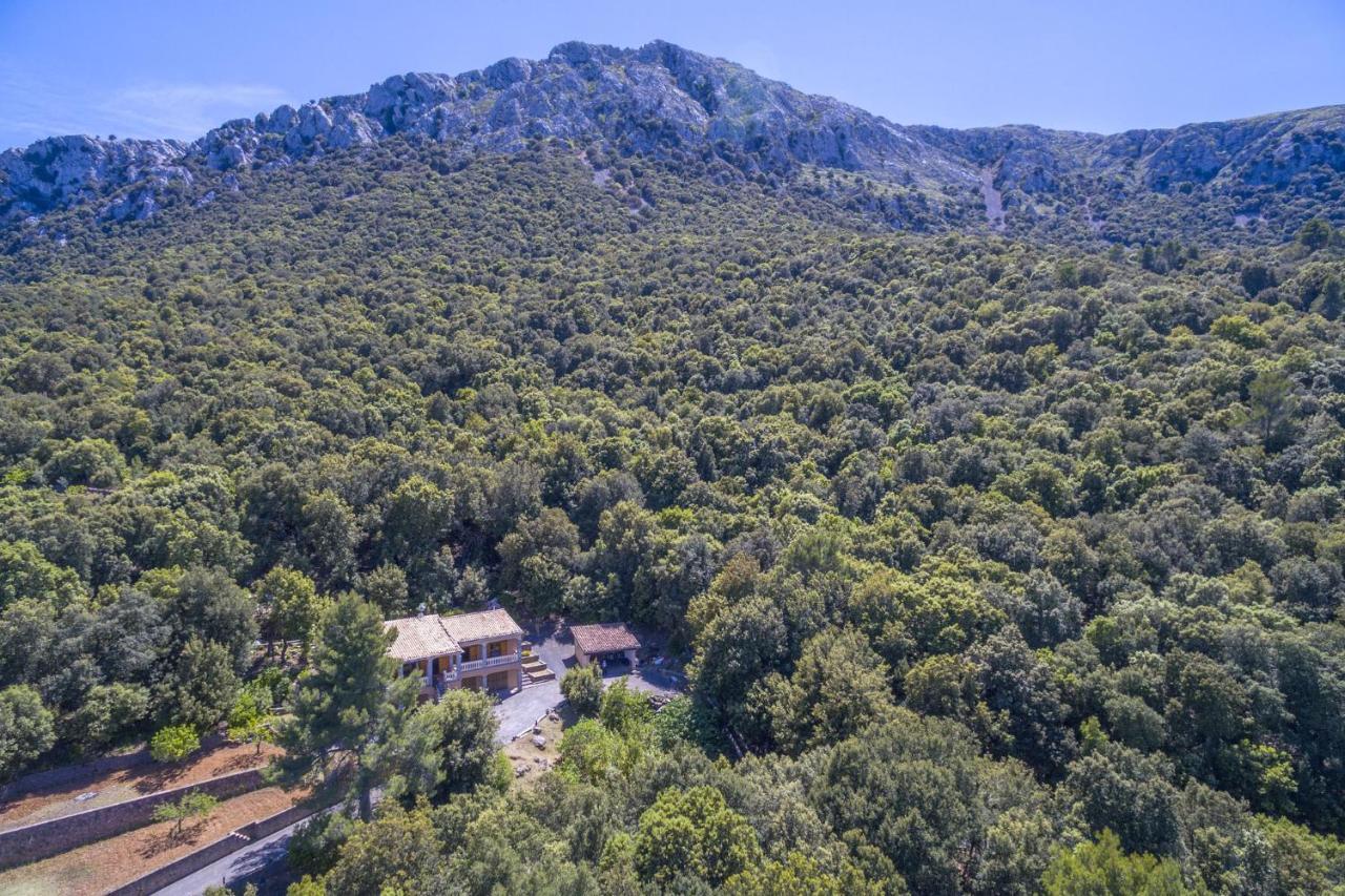 Sa Tramuntana Semesterbostad